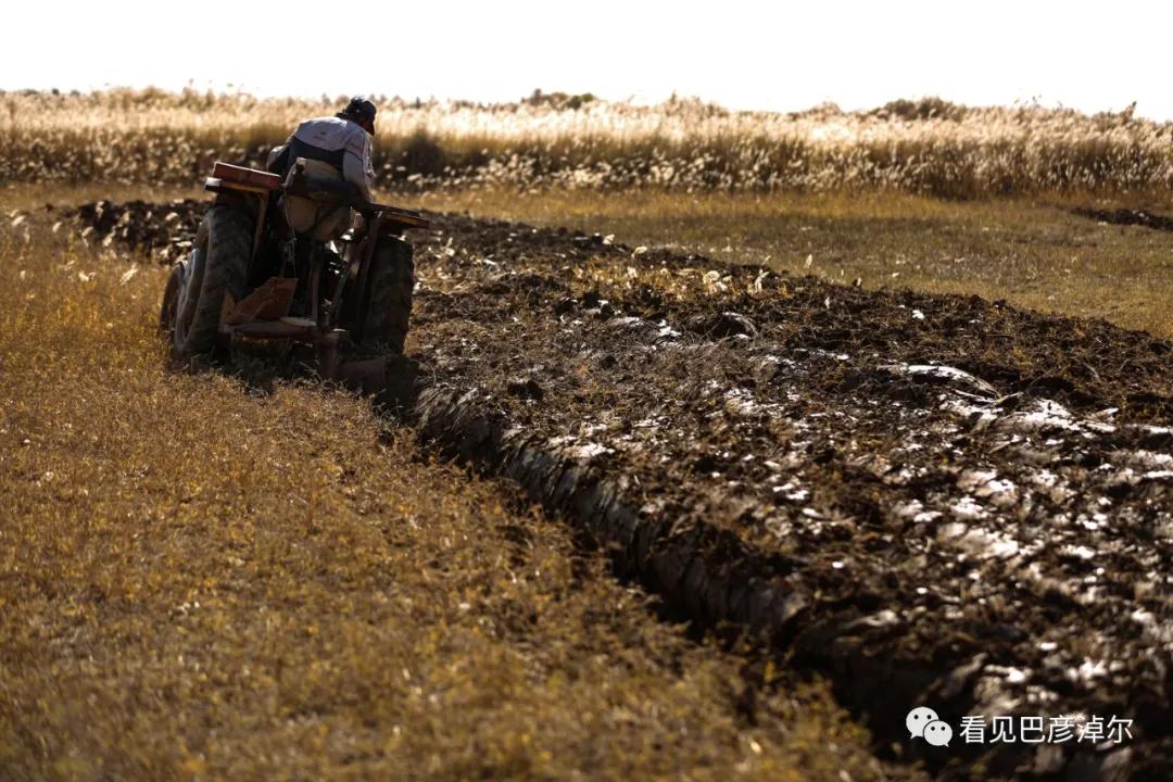 内蒙古巴彦淖尔有多美,巴彦淖尔有多美
