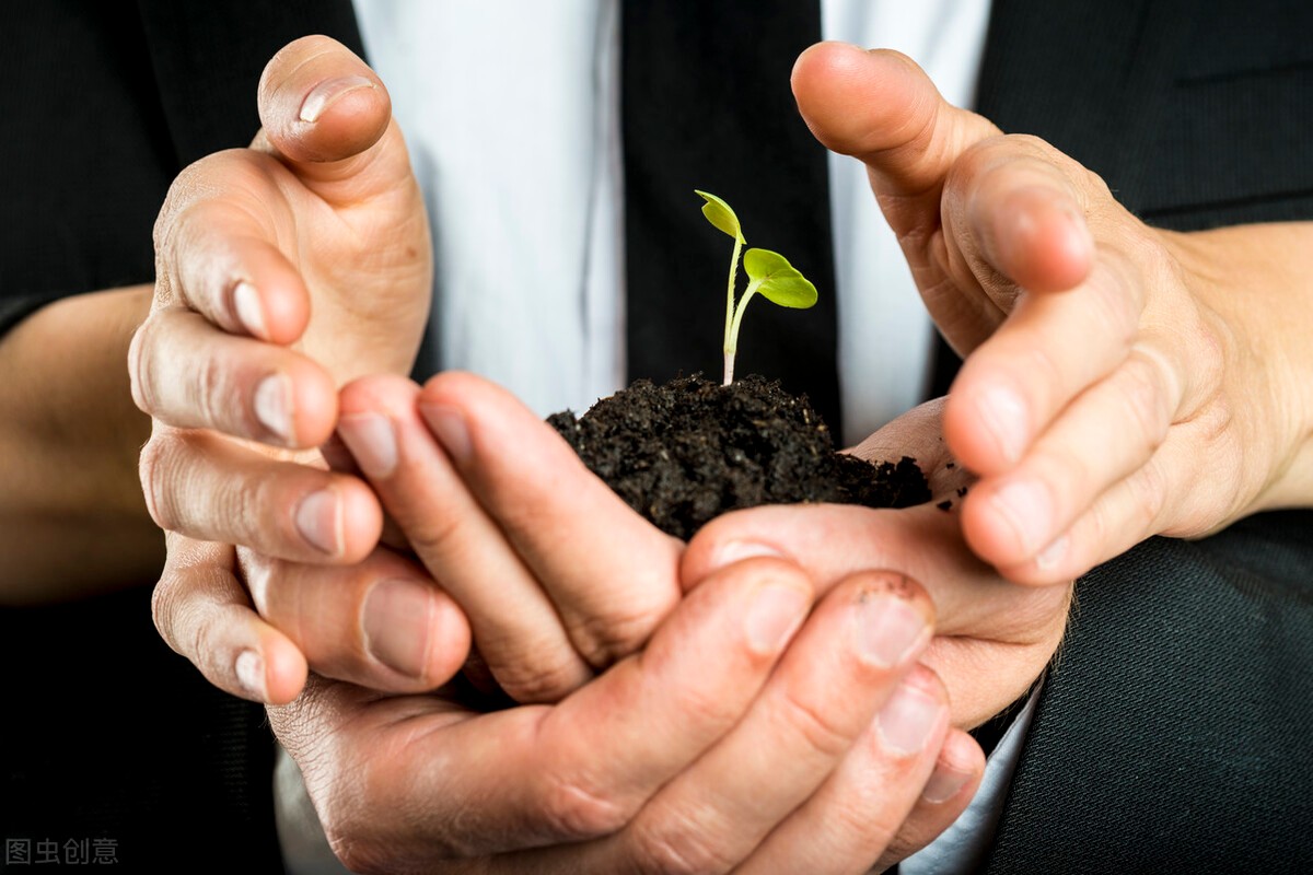 如果你要创业你会选择什么项目,如何利用风口选择创业项目