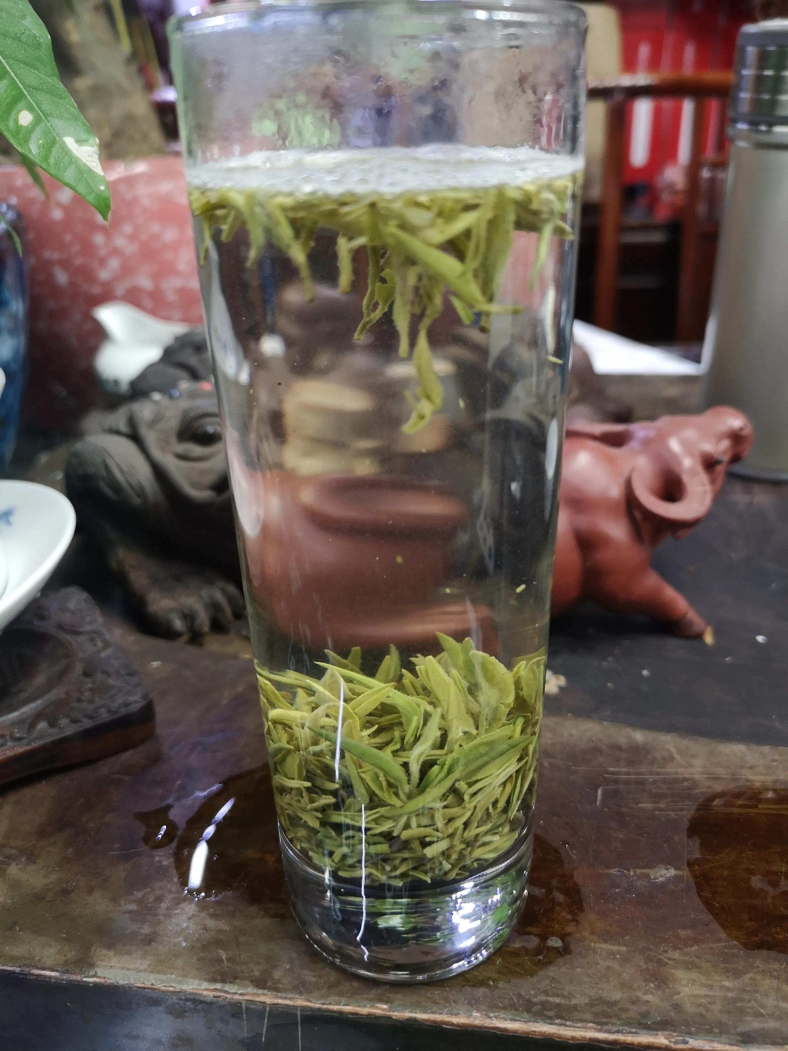 绾㈣悵鍗滆湝铚滅敎绔ヨ埃姝岃瘝,绾㈣悵鍗滆湝铚滅敎鍘熺増