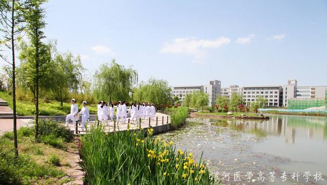 大专学医哪个专科最好,大专学医就业前景如何