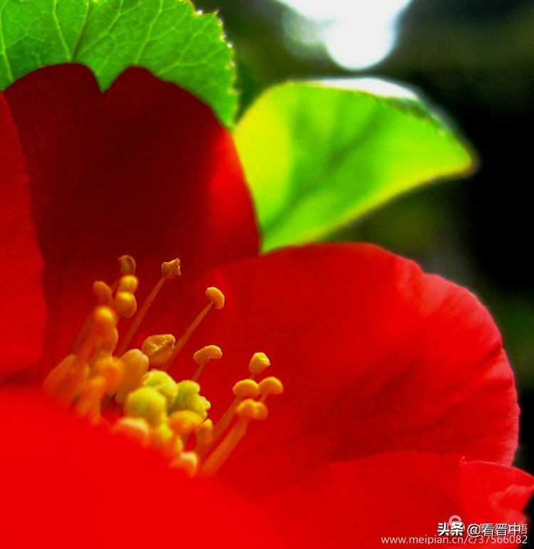 山西农大美丽的校园,山西农大校园风光