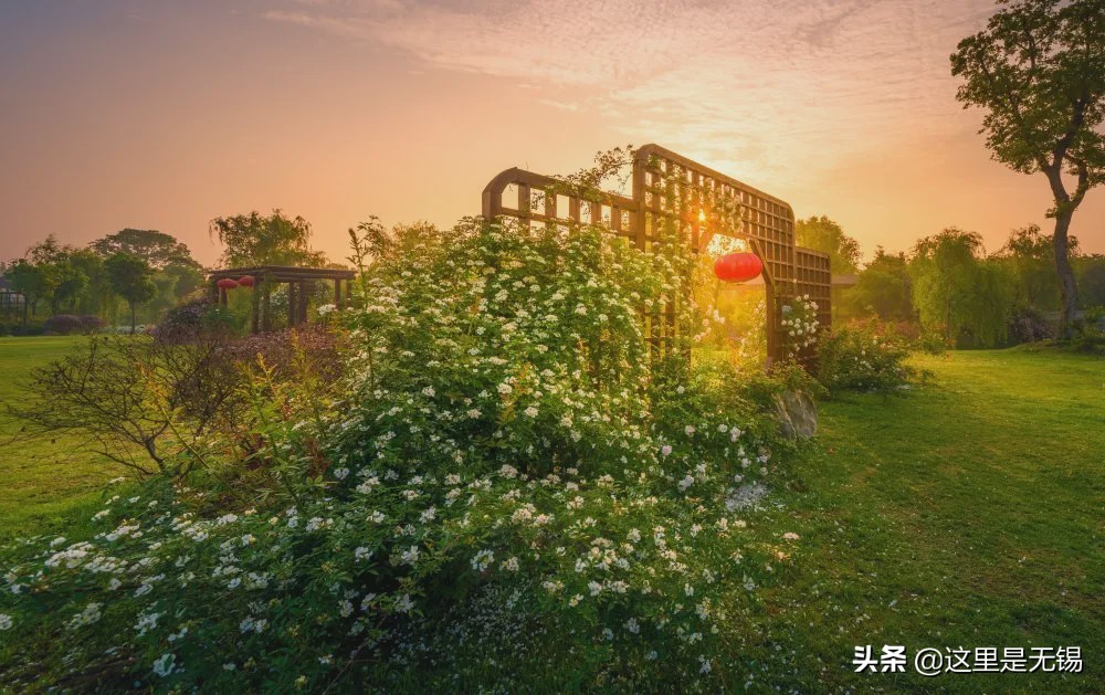 无锡网红打卡地南泉老街,无锡风景环境绝佳的网红打卡点