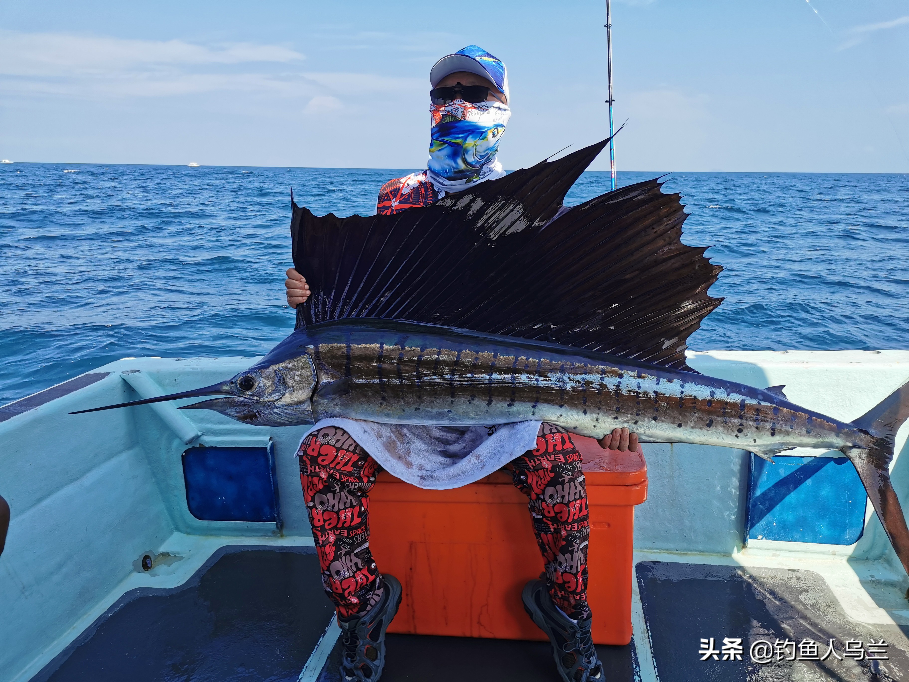 云冰海钓,海钓钓起旗鱼
