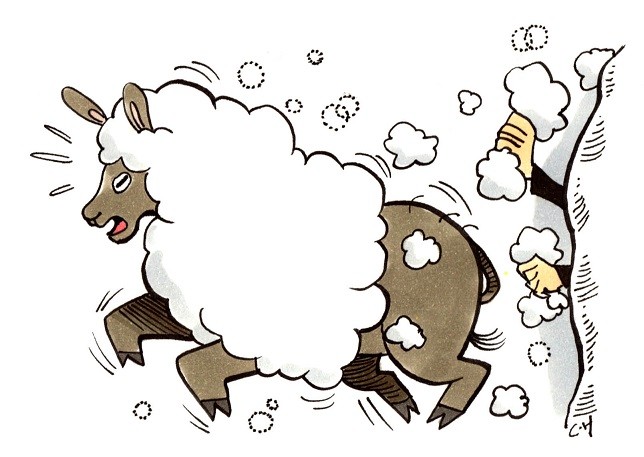 主力军中的主力军,底层上的00后