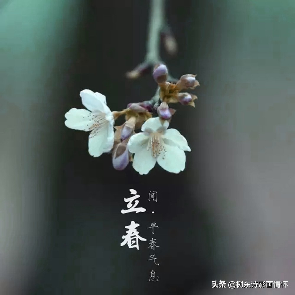 立春天气好宅在家里,立春宅在家