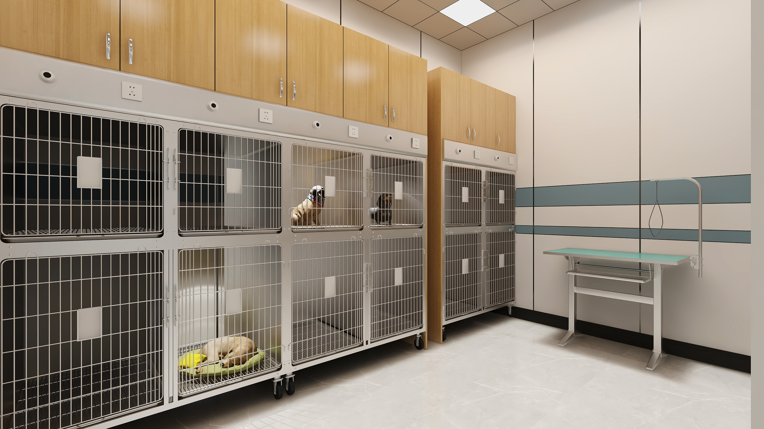 开宠物医院有前途吗,加盟宠物医院挣钱吗多少钱