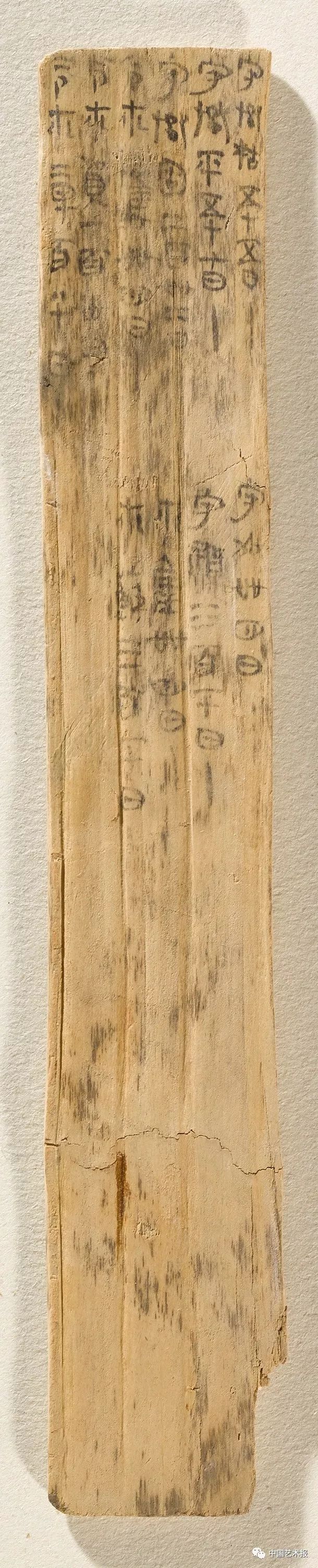 在秦朝,二十钱就可买到一斗虎肉|里耶秦简里的小城故事