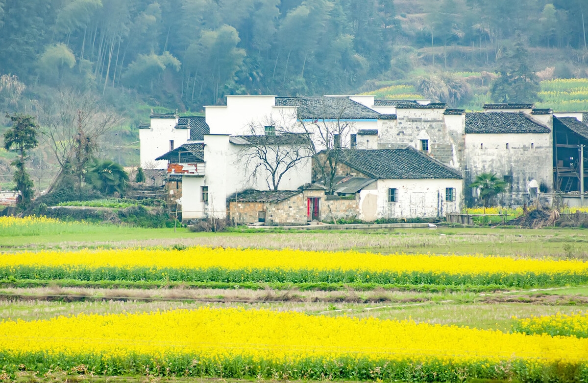 春季自驾游3-4天最佳路线,这才是春天最美的15个地方