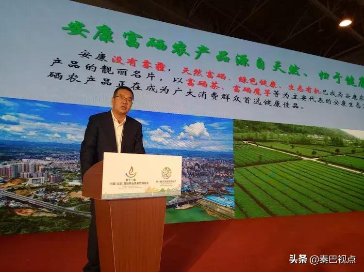 秦汉古茶价格,秦汉古茶图片