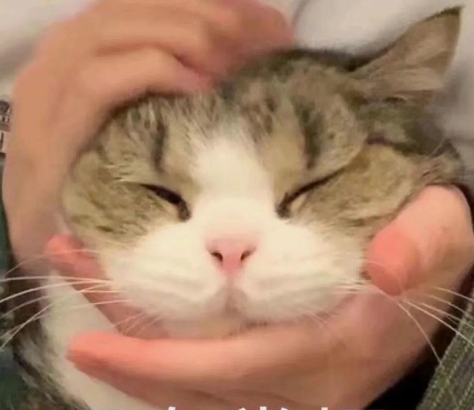 中国教会的现状,中国教会大有希望