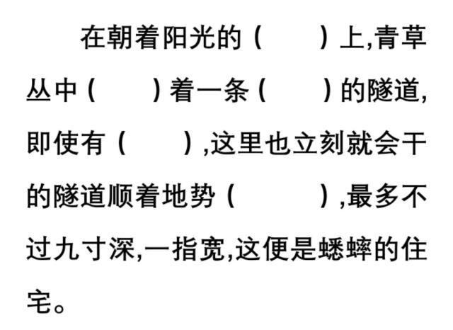 四年级语文书上册蟋蟀的住宅讲解,四年级上册第11课蟋蟀的住宅预习