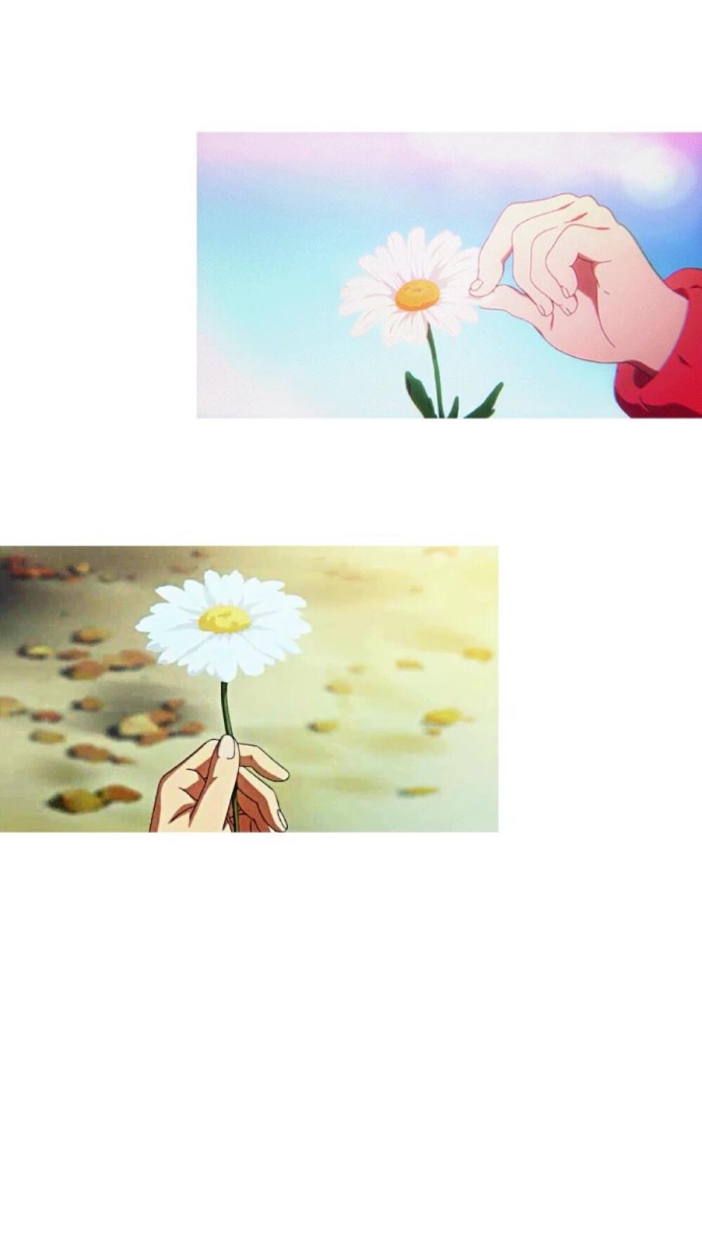 文艺清新的空白背景,清新文艺微信聊天背景图片