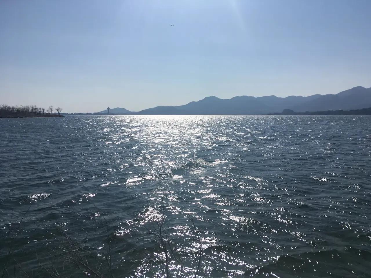 物种起源达尔文,物种起源讲解