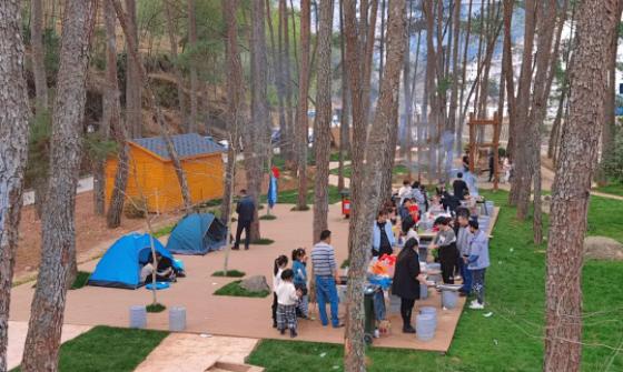 夏天泰顺避暑,泰顺度假胜地
