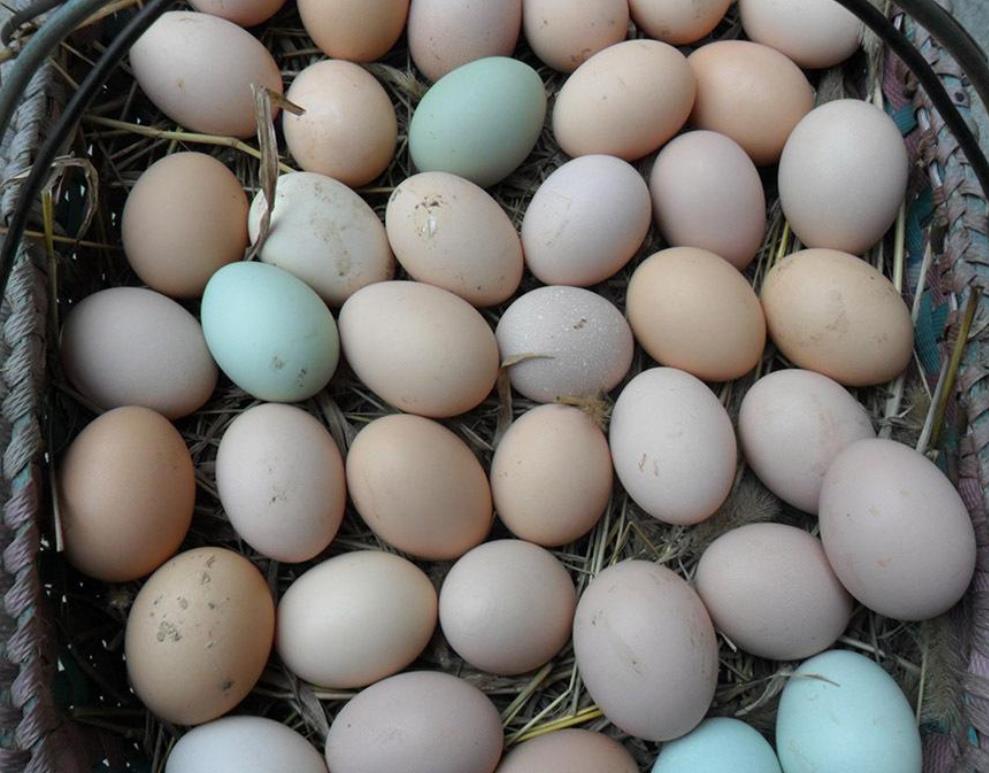 水煮鸡蛋打开蛋黄有小黑点能吃吗,蒸鸡蛋像没熟一样能吃吗