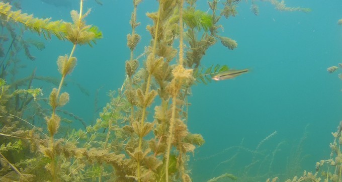 2001年抚仙湖水下古城真实视频,罕见的湖泊风光摄影