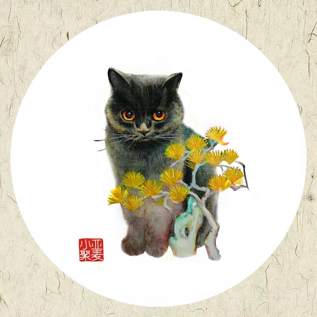 可爱的橘猫插画,一组可爱的治愈系猫咪插画