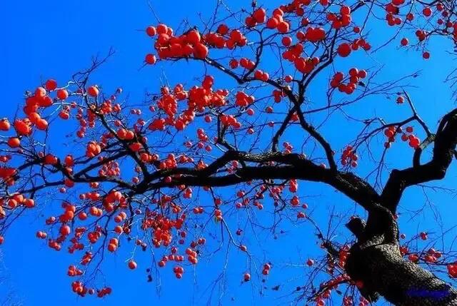 疫情面前，创始人捐款5000万的河南商超是何方神圣？曾两次自杀