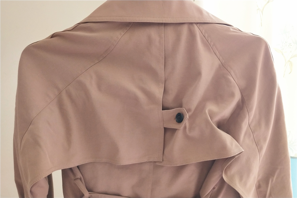 卓力蒸汽挂烫机,家庭用全自动蒸汽挂烫机