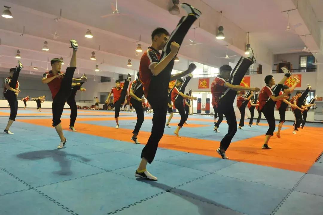 自学散打入门训练全套技巧,散打自学教程从零开始