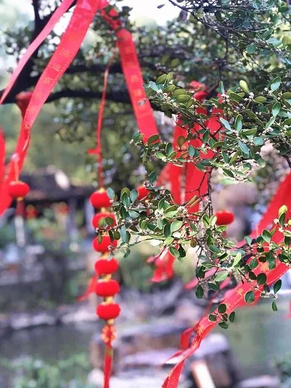 穹窿山风景区：金猪绘新春年味快乐过传统新年！