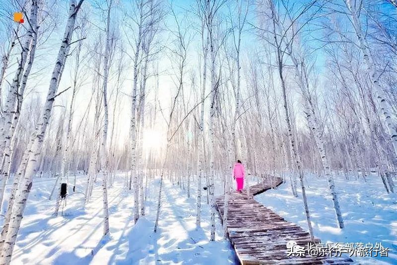 冬天漠河白桦林童话世界完整视频,冰雪大世界长白山雪乡六天五晚