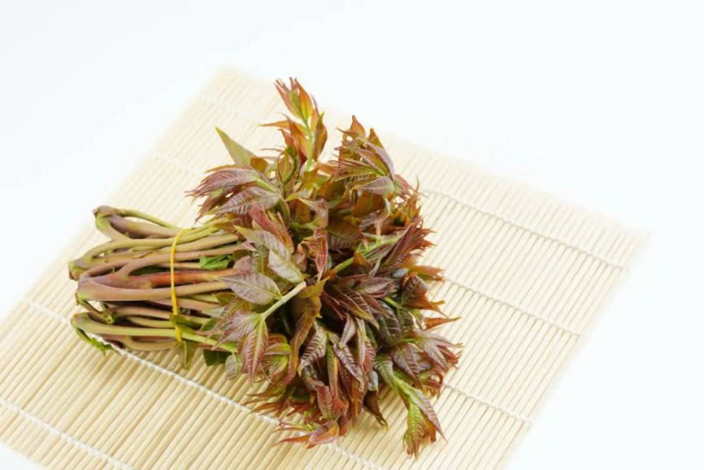 春天的野菜冬天吃很满足,春天的时蔬