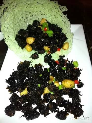 宁波高铁去丽水,丽水直达宁波高铁