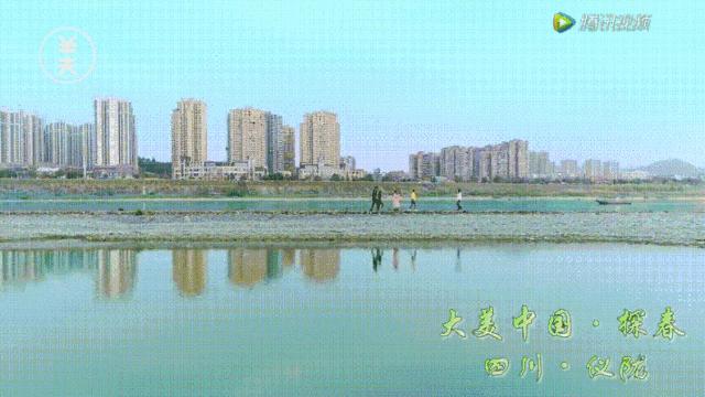仪陇春天美景,仪陇县夜景震撼上央视