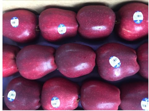 长春生鲜冷链配送,长春蔬果生鲜配送新鲜直达