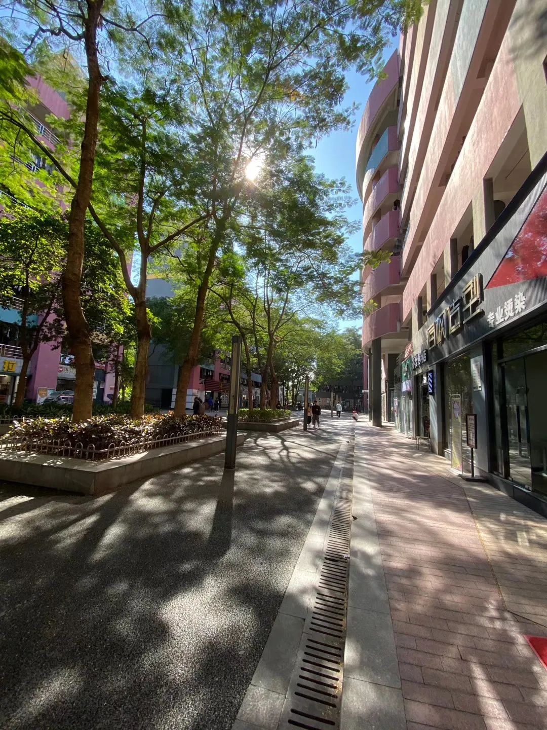 广东这所大学有广州、清远两校区。虽然是民办，但是环境超美