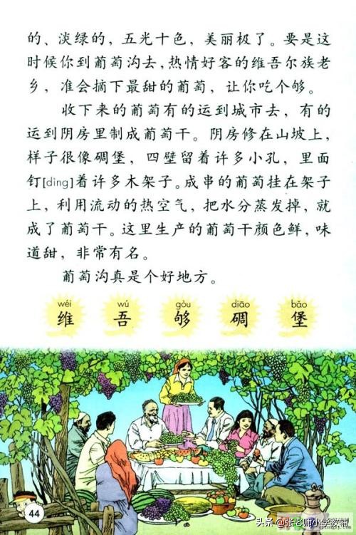 二年级上册语文11葡萄沟教案设计,二年级葡萄沟课文教学分析与总结