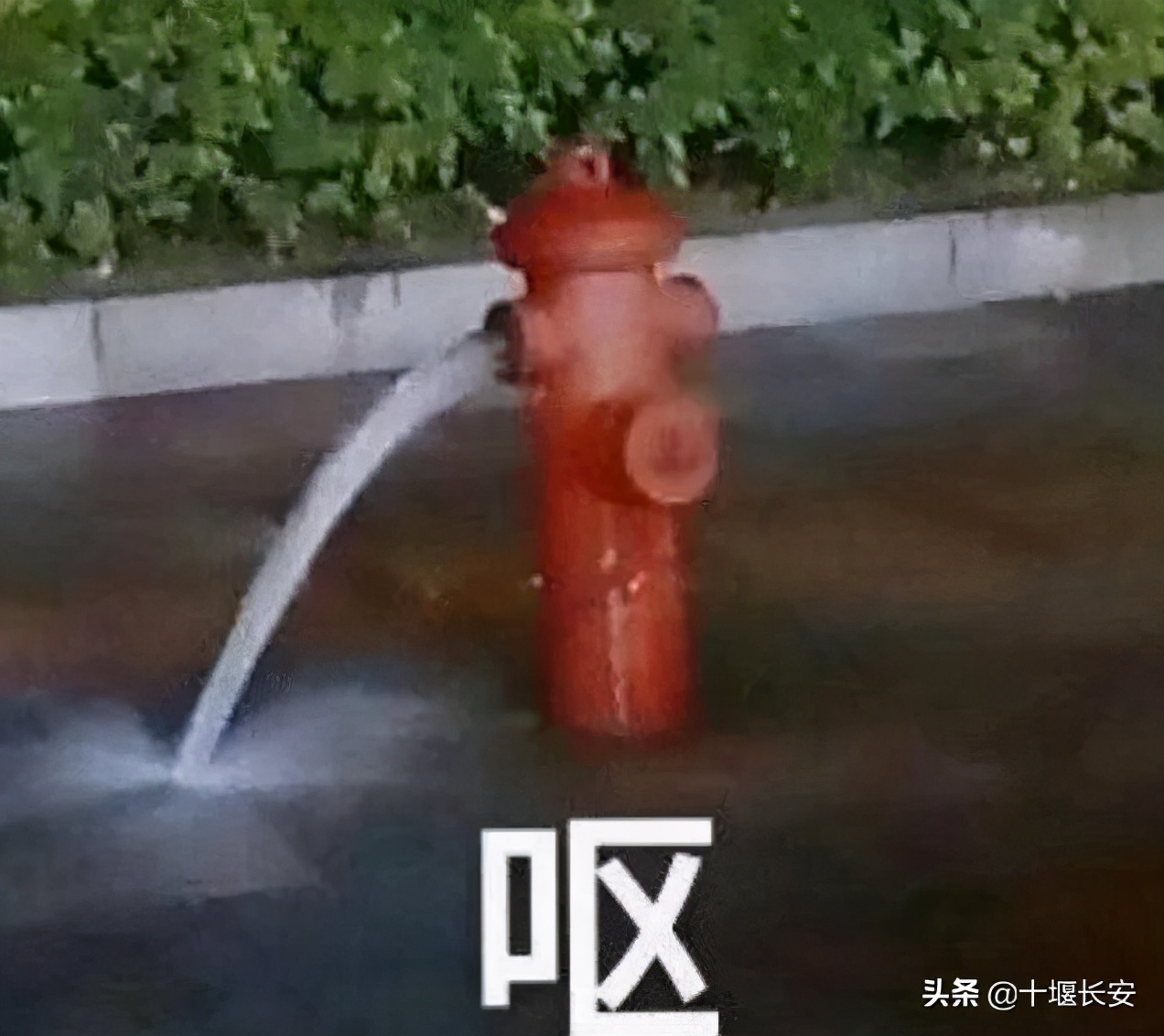 笑一笑十年少电视剧,笑一笑十年少搞笑视频