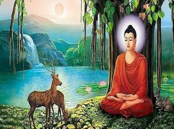 印度的黄种人都是哪来的?