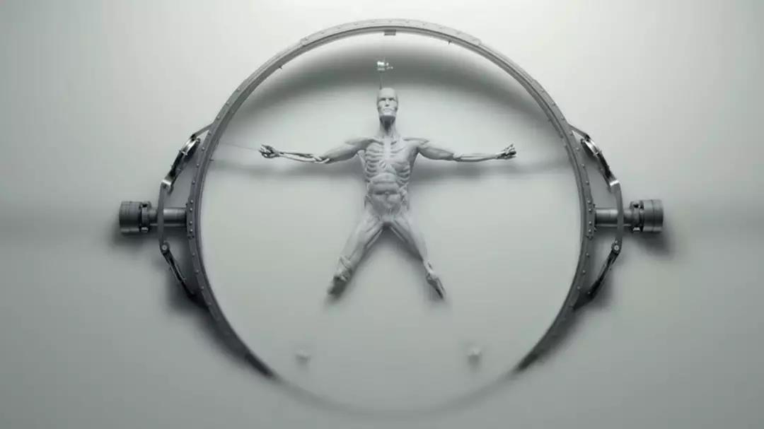 看过的机器人越多，越可怜人类