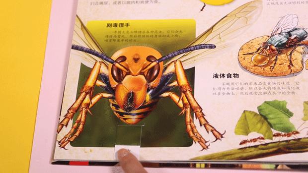 最简单的立体纸艺,立体纸艺的技术与制作