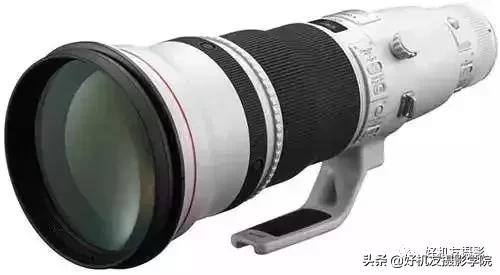 手机拍鸟镜头拍摄技巧,拍摄鸟片后期技巧有哪些