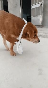 闺蜜生日送蛋糕还是送礼物呢,闺蜜过生日给他送什么零食好呢