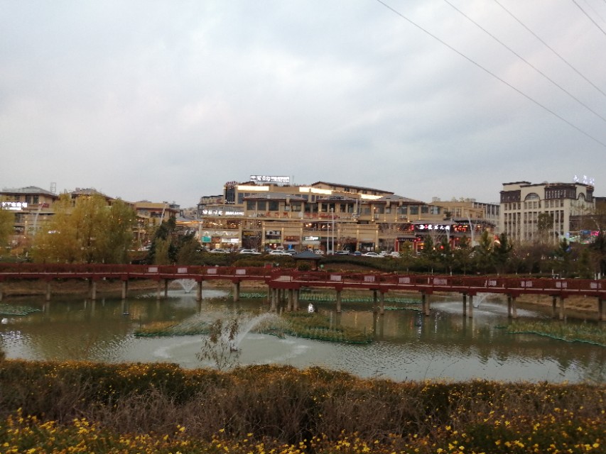 曲靖泰丰公园,晨拍泰丰公园路边