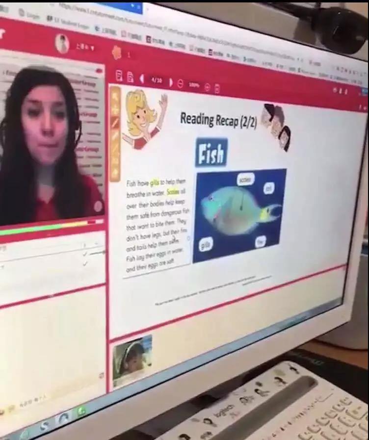 vipjr和vipkid的收费,vipjr少儿英语靠谱吗