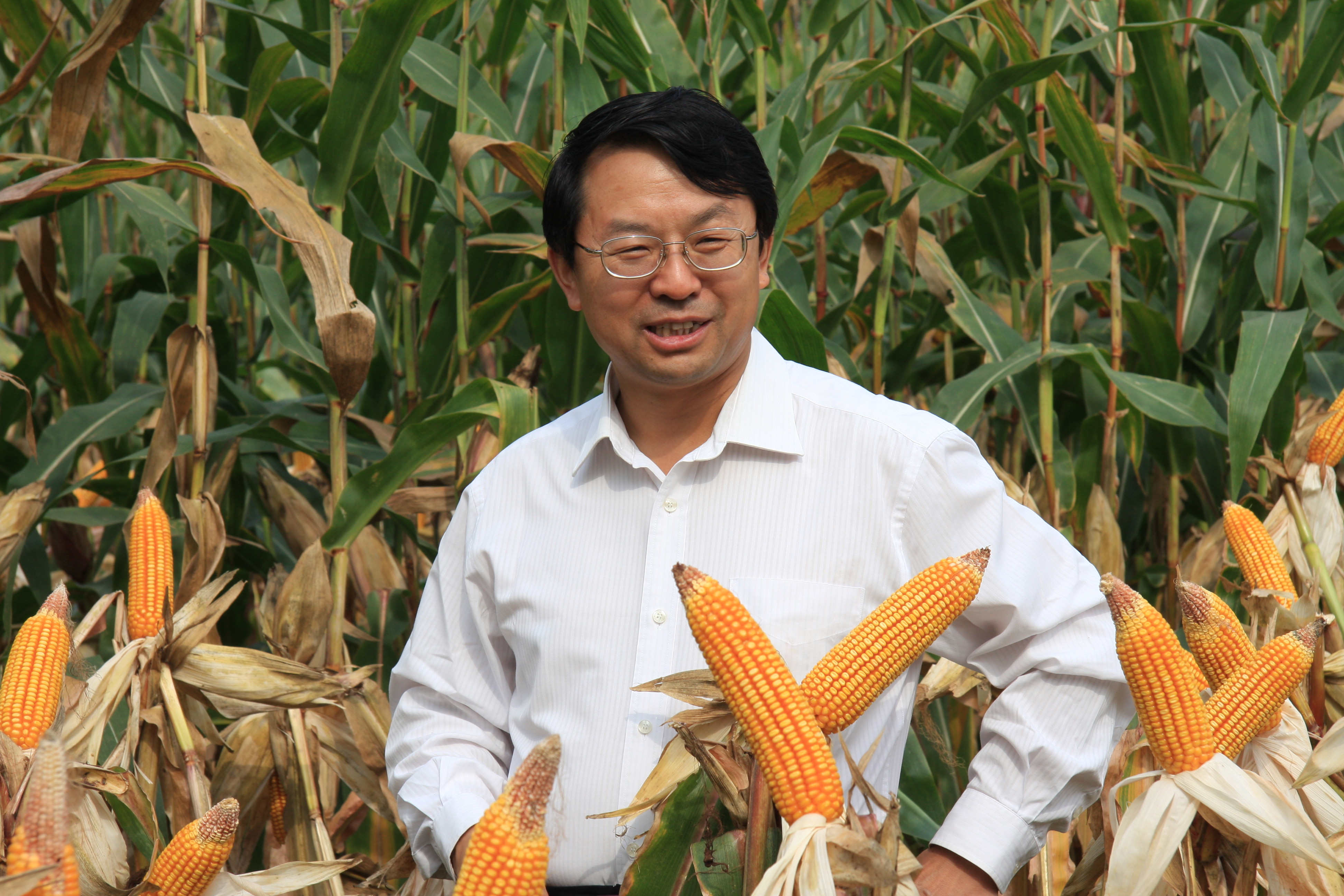 张福锁大理科技小院,张福锁科技小院有几个