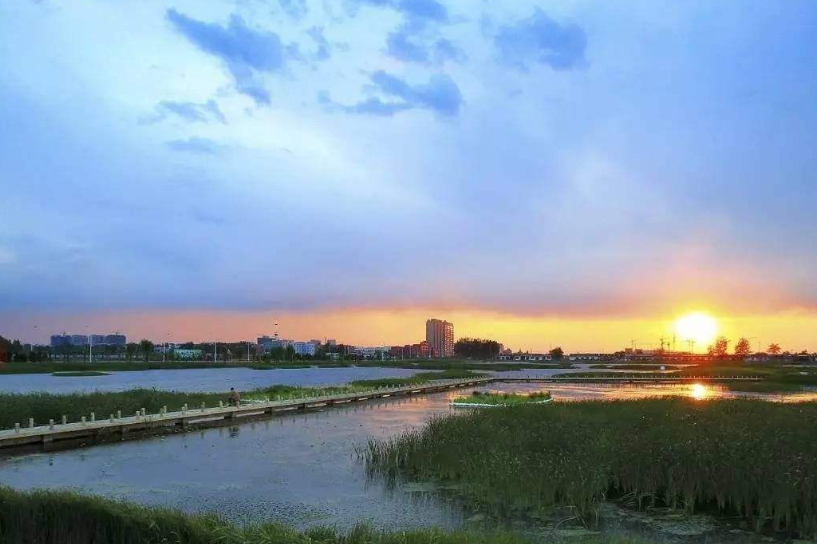 德州黑马排名,德州煤炭资源