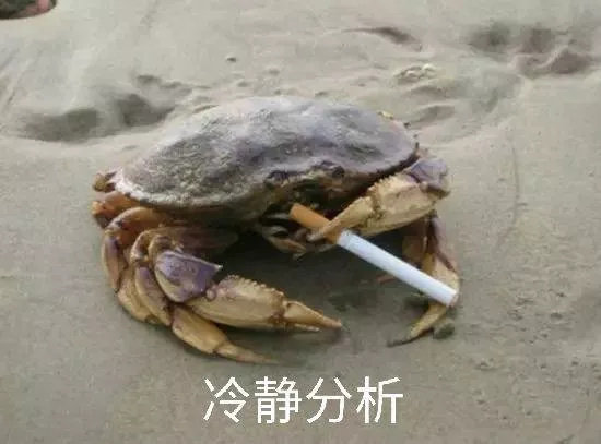 成语表情包,成语表情包动态图片