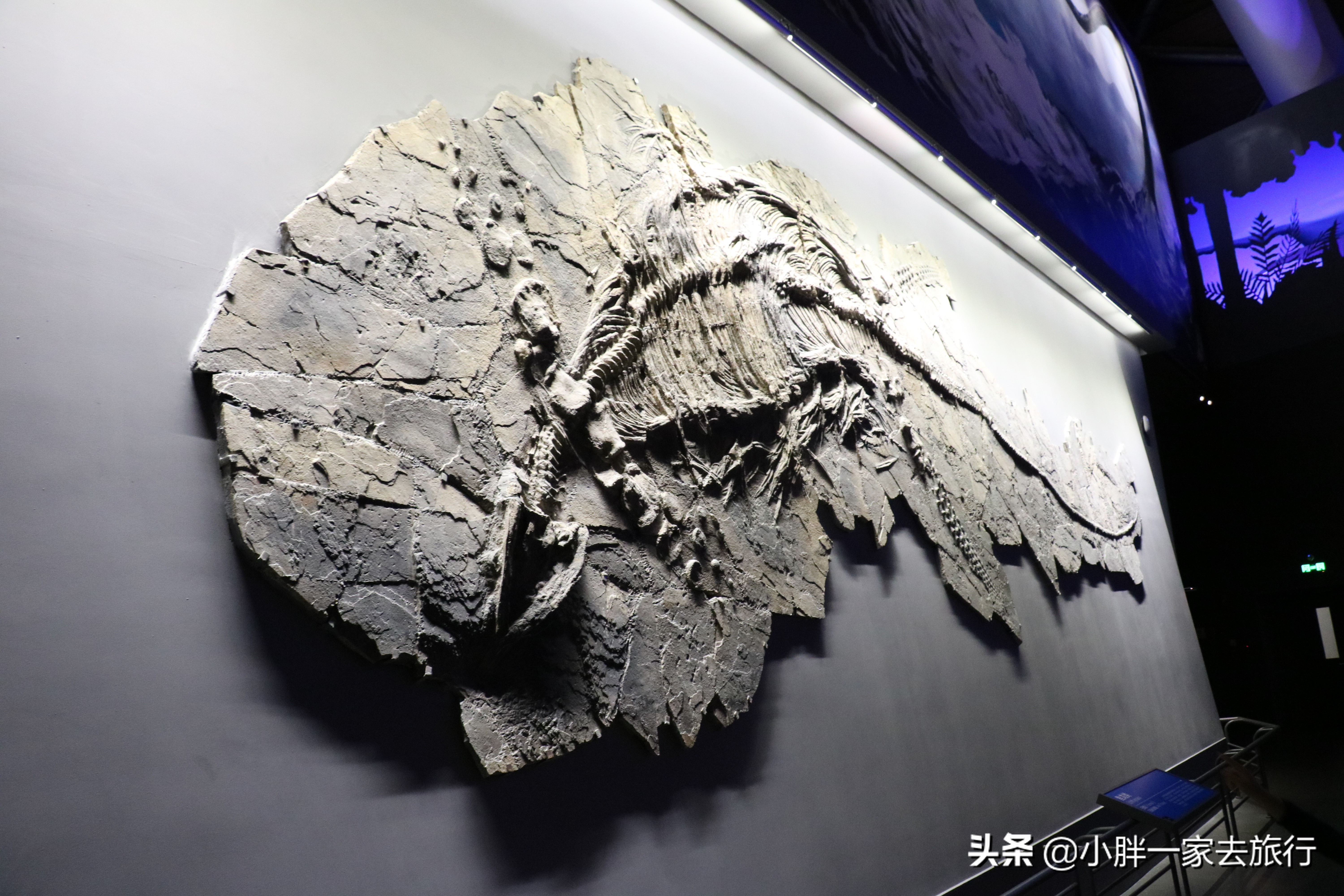 最大的北京海洋博物馆,海上故宫国家海洋博物馆