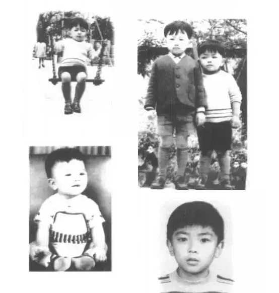 郑伊健双琪夺面影响大吗,郑伊健夺面双旗事件