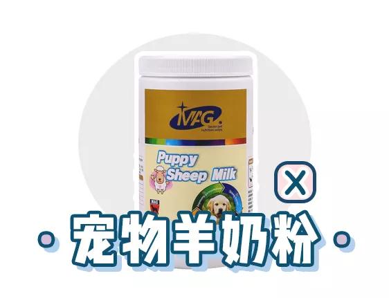 萌新应该养什么便宜宠物狗,萌新怎么入门宠物技能