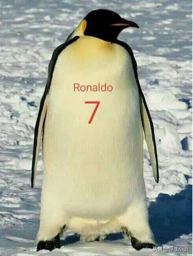 c罗封神之夜完整版免费,c罗之夜