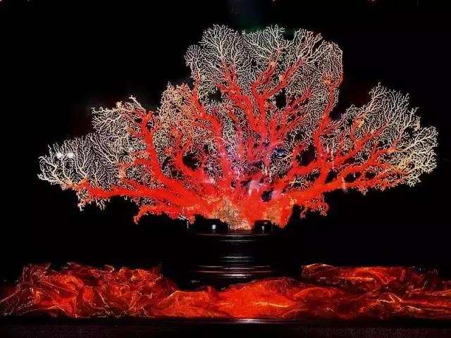 鐝婄憵鍙よ懀鐝犲疂,鐝婄憵鐝犲疂璇佷功