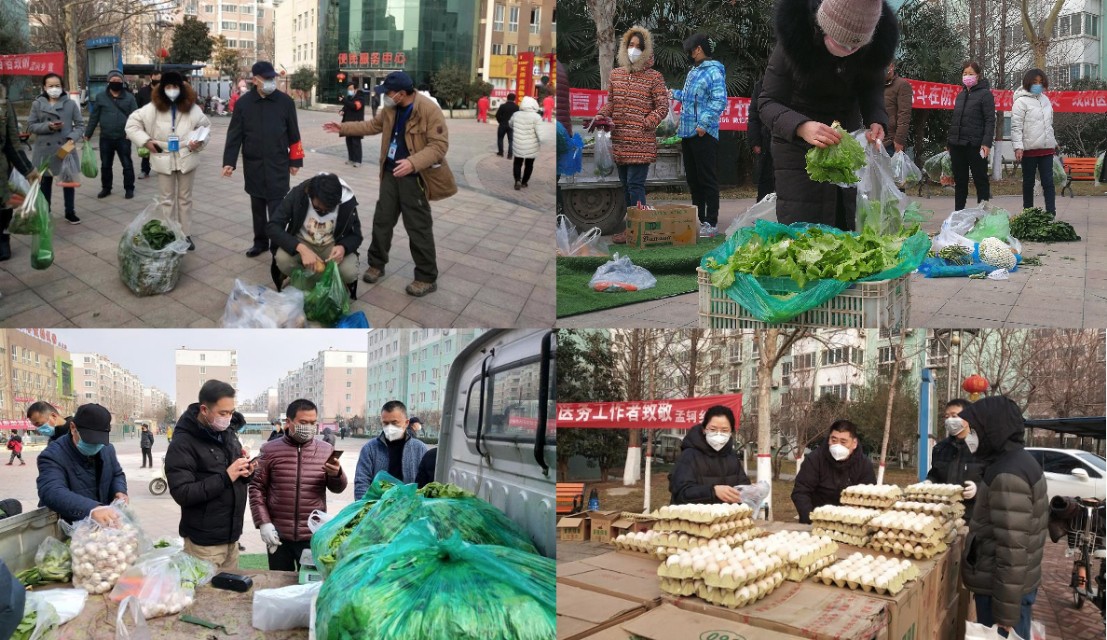 济南高新玉兰花园,玉兰花园很美