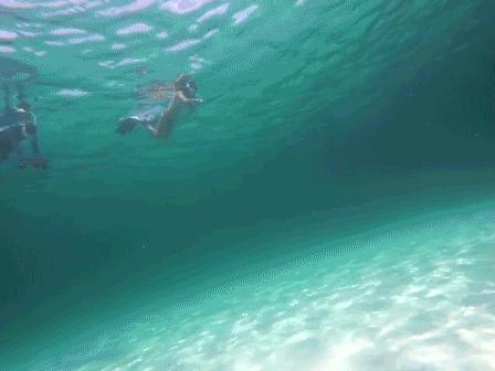 丽贝岛什么时候去最好,为什么要去人鱼岛